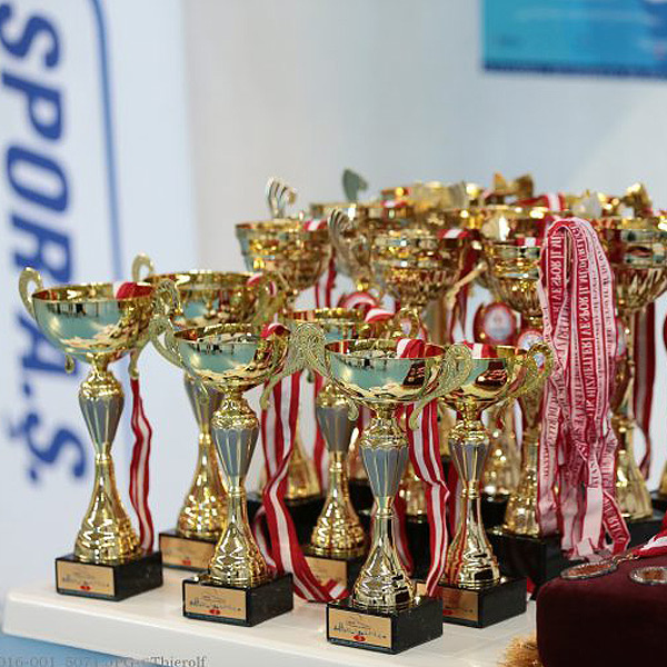 Cimnastikte 2 Altın, 2 Gümüş!